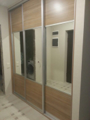 Встроенный шкаф-купе SHV49