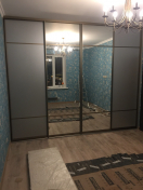 Встроенный шкаф-купе SHV253